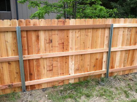 Steel Posts (?Postmaster) with Cedar Privacy Fence - Back Side Cedar Fence Posts, Steel Fence ...