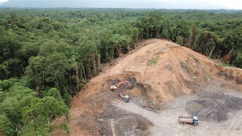 Deforestation Effects On Humans