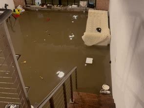 Flooding Swamps Loft Apartment in Dallas [Video]