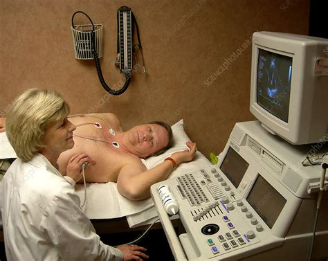 Echocardiogram - Stock Image - P216/0484 - Science Photo Library