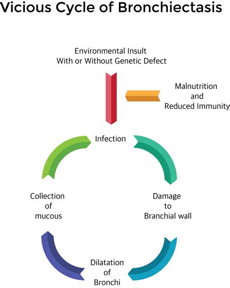 Causes, Symptoms, Diagnosis and treatment of bronchiectasis | Holistic ...