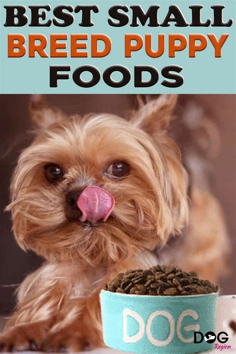 Best Small Breed Puppy Food | Puppy food, Small breed, Best puppy food