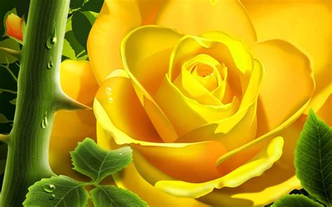 3d Flower Wallpapers Rose - Wallpaper Cave