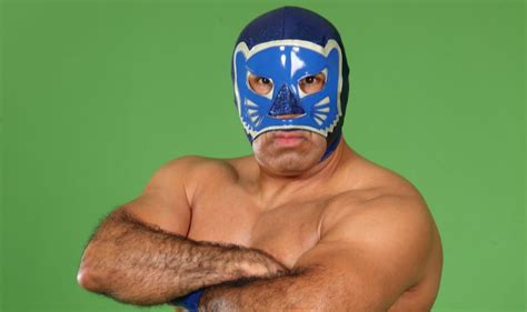 Lucha Tributes: Blue Panther - HowTheyPlay