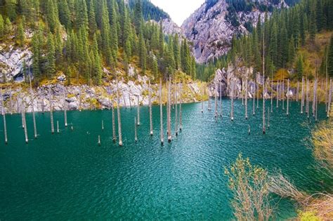 The Sunken Forest of Lake Kaindy | Amusing Planet