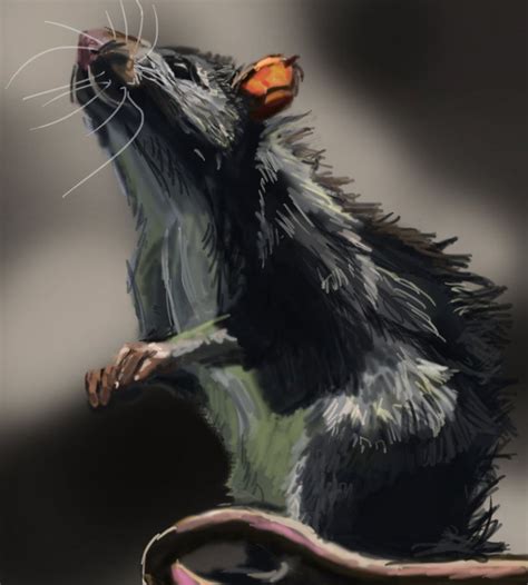 Rat Speed Painting by Inari123 | Creature art, Rats, Illustration art