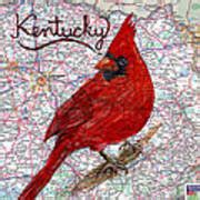 Cardinal the Kentucky State Bird Mixed Media by Cherri Lamarr - Fine Art America