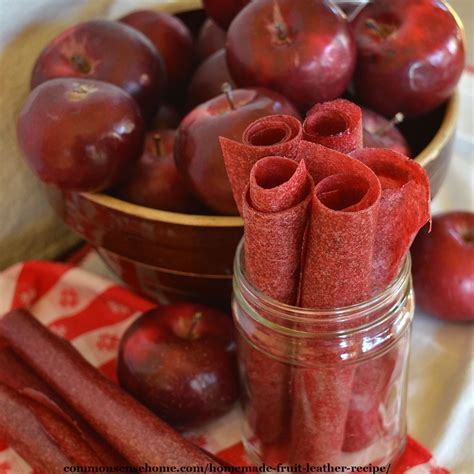 Homemade Fruit Leather Recipe (With Money Saving Tips!)