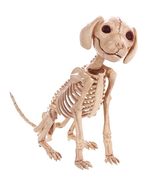 Sitting Dog Skeleton 30 Cm as Halloween decoration | Horror-Shop.com