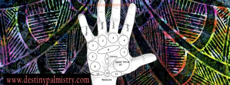 Venus Mount and Meanings of Other Areas of the Hand - Destiny Palmistry