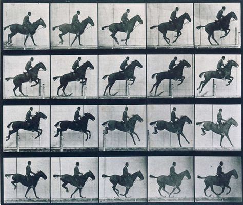 Eadweard Muybridge 1878 Photo Series - Horse in Motion (With images ...