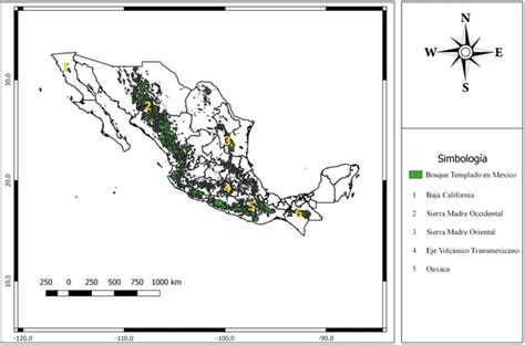 Bosques templados : Qué son y su importancia