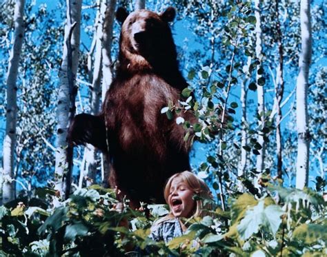 Imagini The Adventures of the Wilderness Family (1975) - Imagine 4 din 19 - CineMagia.ro