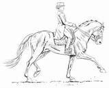 Dressage Horse Coloring Pages At GetColoringscom  Free Printable sketch template