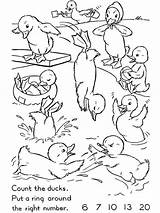 Counting coloring pages Free Printable sketch template