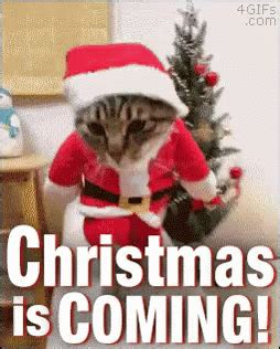 Christmas Is Coming Gif Pictures, Photos, and Images for Facebook, Tumblr, Pinterest, and Twitter