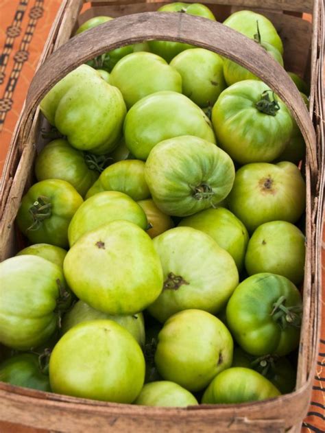 5 Ways To Use Green Tomatoes - Backyard Garden Lover