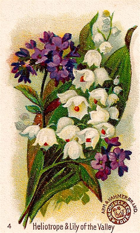 Antique Images: Printable Flower Trade Cards Geranium Wildflowers Crafting Designs