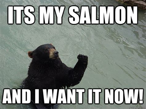 Its my salmon and I want it NOW! - Vengeful Bear - quickmeme