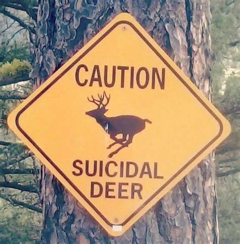 Deer season, Fun signs, Deer stand