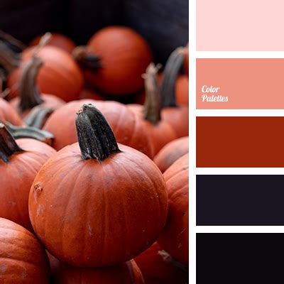 autumn tones | Color Palette Ideas