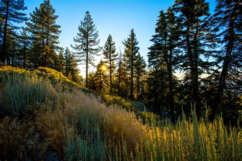 Hiking trail in Wrightwood, CA [OC] [3240 x 2160] : r/EarthPorn