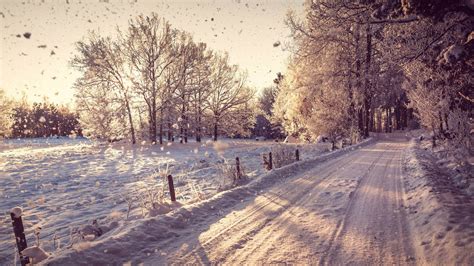 Serene Winter Path - HD Wallpaper