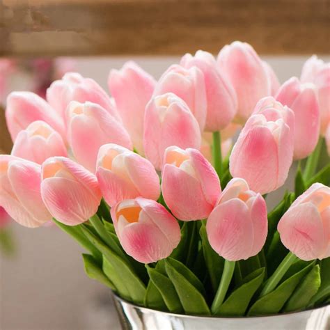 Giới thiệu về hoa Tulip Hồng và những điều đặc biệt bạn nên biết - Shop ...