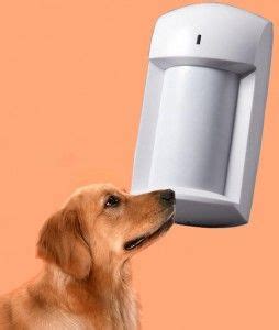 Pet immune Motion Detector and the technology | Motion detectors ...