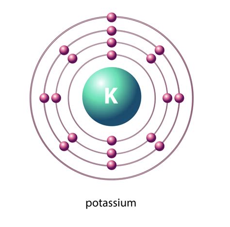 POTASSIUM - Neuroneeds