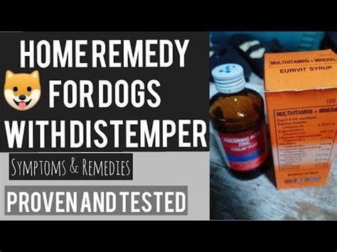 SYMPTOMS & HOME REMEDY FOR DOGS WITH DISTEMPER - YouTube