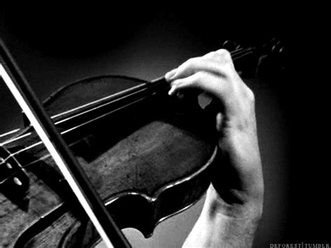 Violin Animated Art Gifs - Best Animations