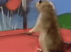 Dramatic Chipmunk GIF - Chipmunk Dramatic - Discover & Share GIFs