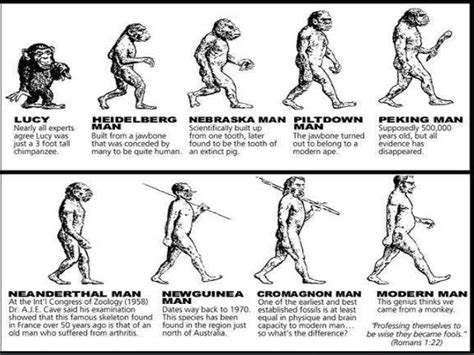 THE STORY OF HUMAN EVOLUTION