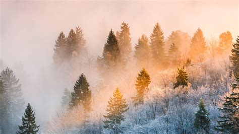 🔥 [31+] Winter Weather Wallpapers | WallpaperSafari