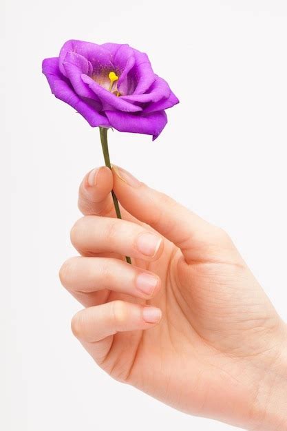 Premium Photo | Closeup flower in his hand on a white background