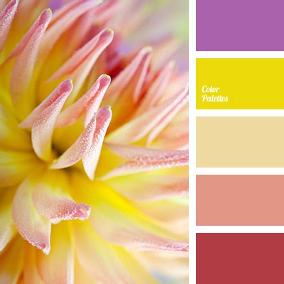 the color scheme for the decor | Color Palette Ideas