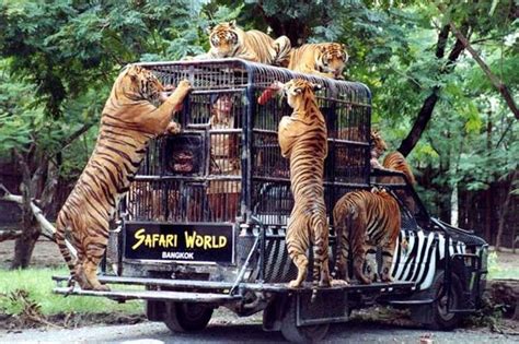 Safari World Bangkok, Safari World में दो पार्क हैं Marine और Safari ...