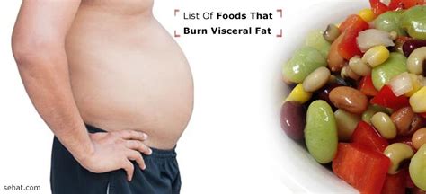 List Of Foods That Burn Visceral Fat By Dr. Himanshi Purohit.