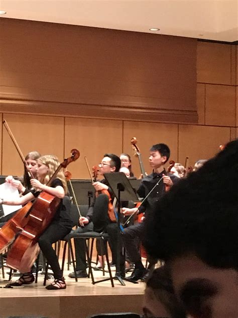 Twoset Viola (yes this middle school orchestra only has two cellos). : r/lingling40hrs