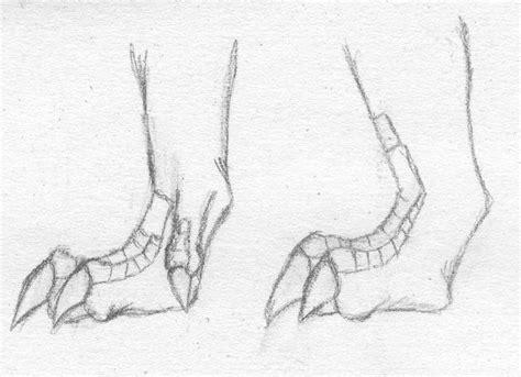 Image result for dragon feet drawings | Mythical creatures drawings, Dragon drawing, Creature ...