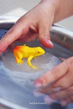 Experiment für Kinder ...mit Wasser und Eis... | Experimente kinder, Experiment, Kinderexperimente