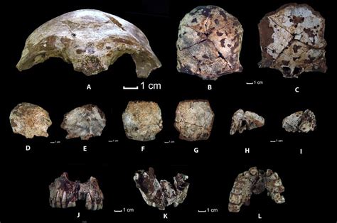 8 Oldest Human Remains in the World - Oldest.org