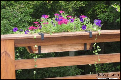 Hooks To Hang Plants On Deck at Jeffrey Triplett blog