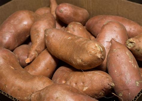 Sweet Potatoes vs. Yams: What’s the Difference? | Mississippi State ...