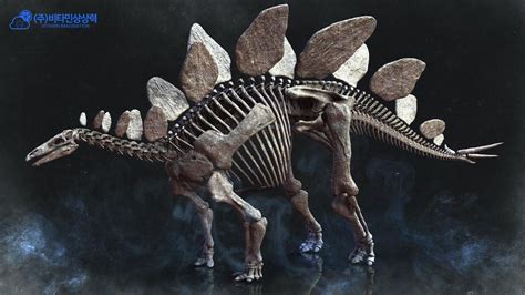 Stegosaurus Skeleton, Vitamin Imagination on ArtStation at https://www.artstation.com/artwork ...