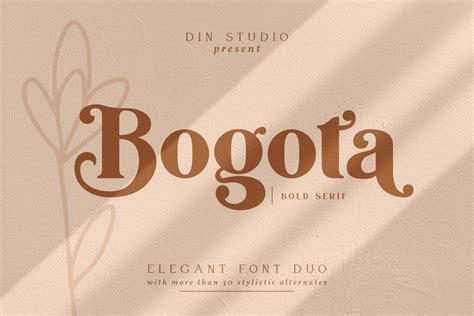 Bogota Bold Elegant Serif Font - Download Fonts