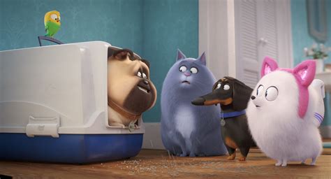 Download Movie The Secret Life Of Pets 2 HD Wallpaper