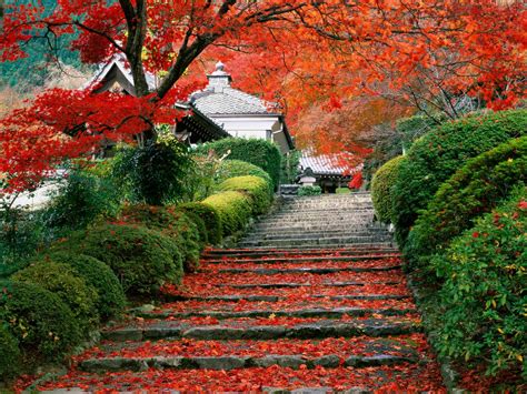 Japan's Fall Foliage (Kouyou) - Yumi To Lesson.com