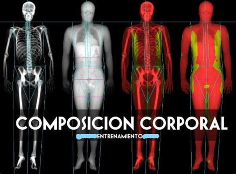 COMPOSICION CORPORAL EN LAS ACADEMIAS DE FUTBOL